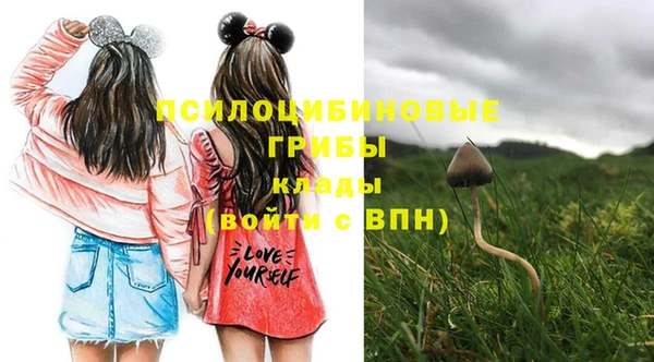 индика Зеленокумск