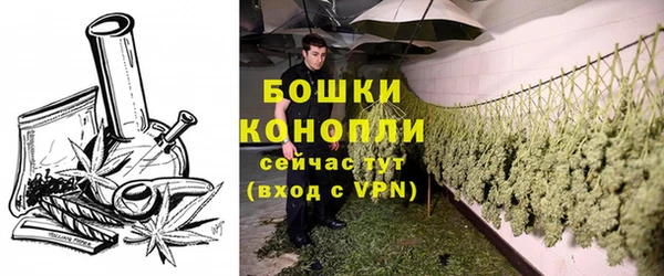 спайс Инсар