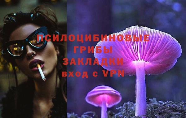 спиды Зерноград