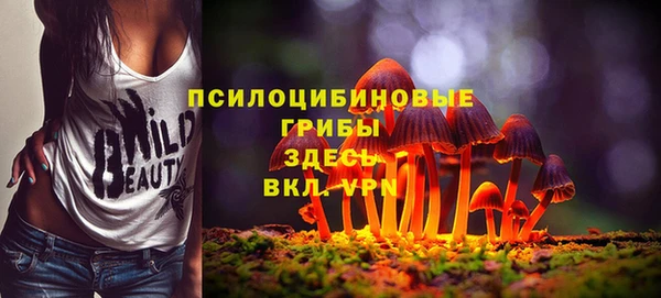 спиды Зерноград