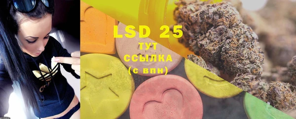 индика Зеленокумск