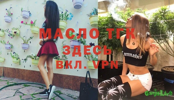 индика Зеленокумск